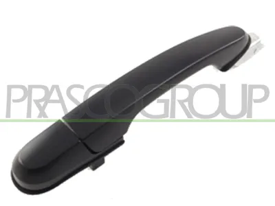 Produktbild von PRASCO HN8028103 Türgriff Hinten Rechts für HYUNDAI TUCSON (JM)