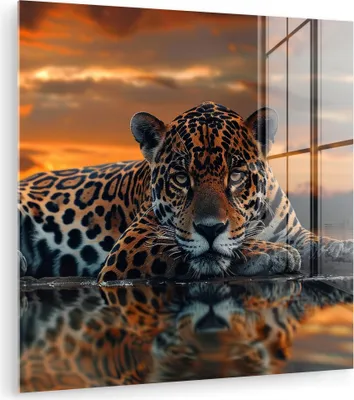 Produktbild von MuchoWow Glasbilder - Bilder auf Wandbild - Foto auf Glas Natur - Leopard - Tier - Sonnenuntergang - Modern 20x20 cm Wanddekoration aus Glas - Acrylglasbild - Acrylbilder - Bilder von Glas - Moderne
