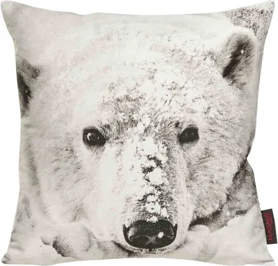 Immagine prodotto di Cuscino Magma Wilderness Animali 100% cotone Lavabile senza chiusura Facile da pulire Alta qualità Resistente Delicato sulla pelle 40x40 cm Orso
