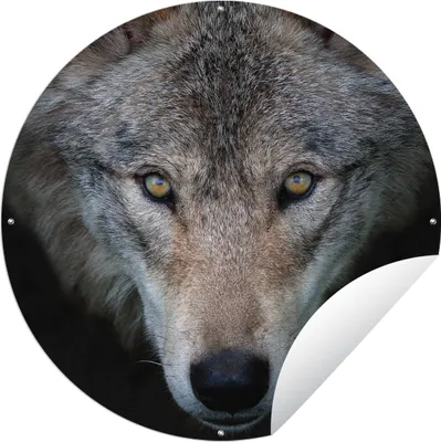 Produktbild von MuchoWow® Gartenposter Outdoor-Poster Rund Wolf - Porträt - Schwarz Ø 60 cm Gartendeko Rundes Poster draußen