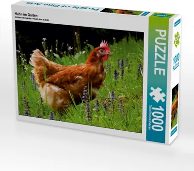 Produktbild von Calvendo Huhn im Garten 1000 Teile Puzzle quer 640x480mm, N N; 7450538