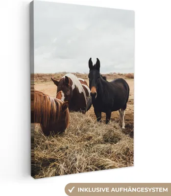 Obrázok produktu pre MuchoWow® - Plátno - Zvieratá - Kôň, nástenný obraz, nástenné dekorácie obrazy obývacia izba, 60x90cm