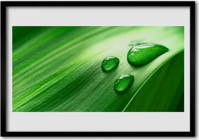 Produktbild von Bild 70x50 MDF-Rahmen Wandkunst Blatt Wassertropfen