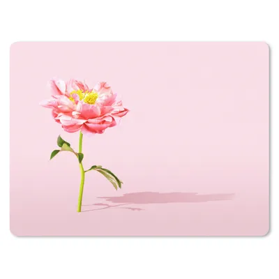 Produktbild von MuchoWow® Mauspad Mousepad Rosa Pfingstrose auf einem rosa Hintergrund 23x19 cm - Mousepads - Maus Mat - Pad - Mausunterlage - Schreibtischunterlage - Mauspad