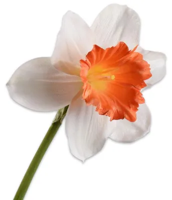 Produktbild von Silk-ka Seidenblume Narzisse Osterglocke Weiß Orange (58cm)