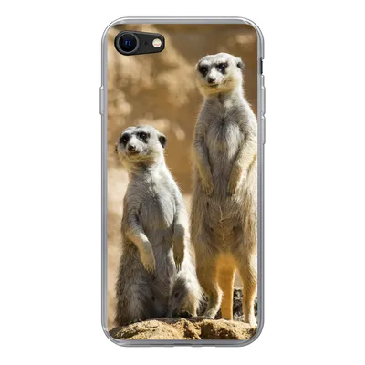 Produktbild von MuchoWow® Handyhülle Schutzhülle Hülle für iPhone 8 Felsen - Erdmännchen - Tiere Silikon Softcase Handy Hülle - Schutzhaube