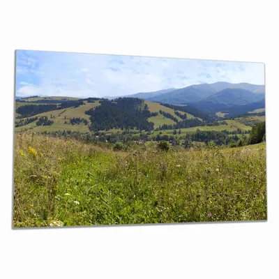 Produktbild von Wallario Herdabdeckplatte aus Glas, Größe 80 x 52 cm 1-teilig, Motiv Bergwiese in den Karpaten