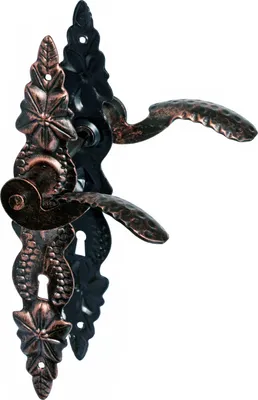 A pair of ornate door handles with long backplates, presented against a white background.