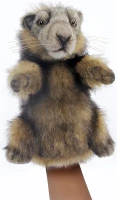 Produktbild von Hansa Creation - Kuscheltier - Handpuppe Murmeltier