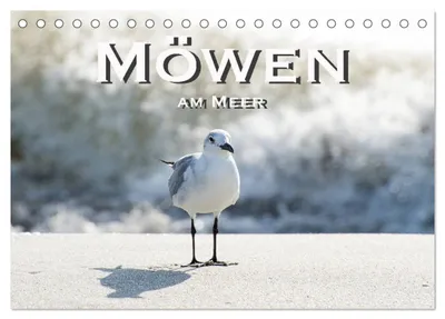 Produktbild von Möwen am Meer (Tischkalender 2027 DIN A5 quer), CALVENDO Monatskalender