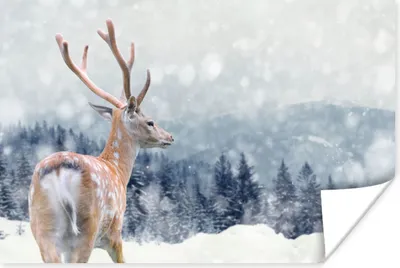 Produktbild von MuchoWow® Poster Winter - Hirsche - Tiere 60x40 cm - Schlafzimmerdekoration