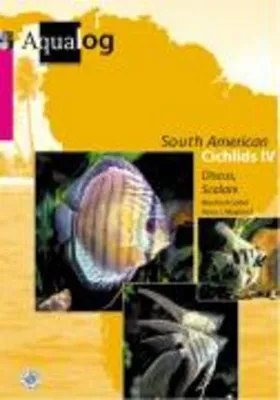 Immagine prodotto di Southamerican Cichlids 4