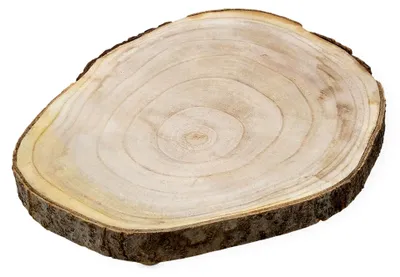 Produktbild von Blumenhocker aus Baumscheibe mit Rinde - Ø 33 cm - Holz Dekoteller rund natur auf 3 Füßen