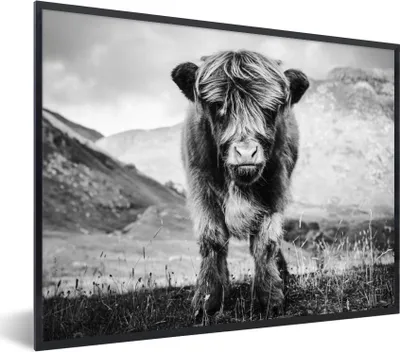 Produktbild von MuchoWow® Gerahmtes Poster Schottischer Highlander - Berg - Schwarz - Weiß 80x60 cm - Poster mit Schwarzem Bilderrahmen Wandposter Rahmen Foto Bilder - Schwarzem - Mit Gestell