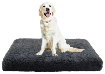 Obrázok produktu pre Ortopedická podložka pre psov, protišmyková, umývateľná, tmavosivá, 120x80x10 cm