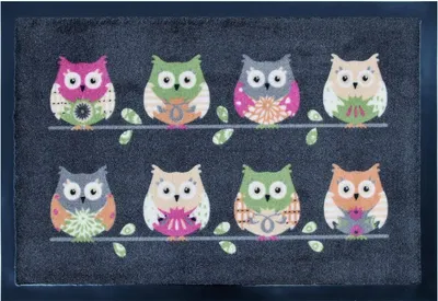 Produktbild von Fußmatte Eule Fußabtreter Eulen OWL Trendstern
