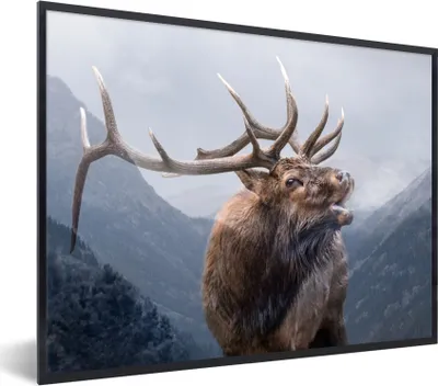 Produktbild von MuchoWow® MuchoWow® Gerahmtes Poster Hirsche - Gebirge - Geweihe 80x60 cm - Poster mit zchwarzem Bilderrahmen - Schwarzem - Mit Gestell