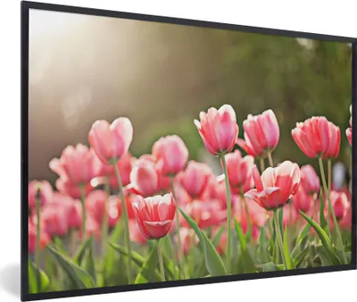 Produktbild von MuchoWow® Gerahmtes Poster Tulpen - Sonne - Frühling 90x60 cm - Poster mit Schwarzem Bilderrahmen Wandposter Rahmen Foto Bilder - Fotorahmen - Foto-Plakat