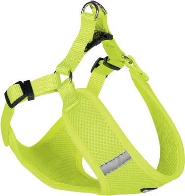 Produktbild von Nobby 80623-24, Hund, Halftergeschirr, XXS, Gelb, Einfarbig, 28 cm
