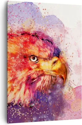 Produktbild von Bild auf Leinwand - Leinwandbild - Einteilig - Adler Vogel Feder - 70x100cm - Wand Bild - Wanddeko - Wandbilder - Leinwanddruck - Wanddekoration - Leinwand bilder - Wandbild - PA70x100-4054