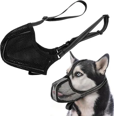Produktbild von Halsband für Hunde | Atmend und verstellbar | Für Pflege und Kauen geeignet | Labrador- und Haushaltsgerätebeständig | Inklusive Halsband