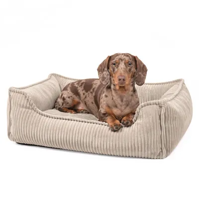 Produktbild von 4L Textil HUGO Orthopädisches Hundebett aus Cord Premium-LINE Hundekorb mit Bezug (60x40 cm, Beige)
