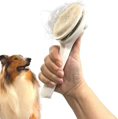 Produktbild von Kamm Borstel für Hunde und Katzen, Massage Bürste, Kurz Mittel Lang Haar
