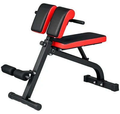 Productafbeelding van SPORTNOW Romaine-stoel voor hyperextensies en verstelbare halterbank, inklapbaar trainingsbank