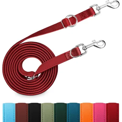 Productafbeelding van Hondenriem, 3 meter, verstelbaar, afneembare lijn, verdikte dubbele lijn voor honden tot 30 kg, nylon, bordeauxrood
