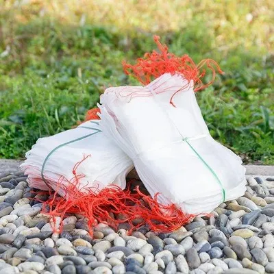 Image de Emballage pour 10 sacs à fruits - 45 x 30 cm - En nylon - Protection contre les insectes - Avec cordon de serrage - Pour légumes, raisins et pommes