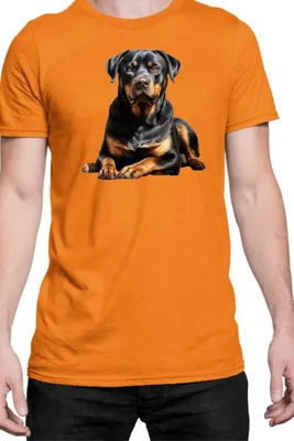 Immagine prodotto di Maglietta da uomo Dogs Breeds Rottweiler Dog Breed 006, Man 2XL , Orange