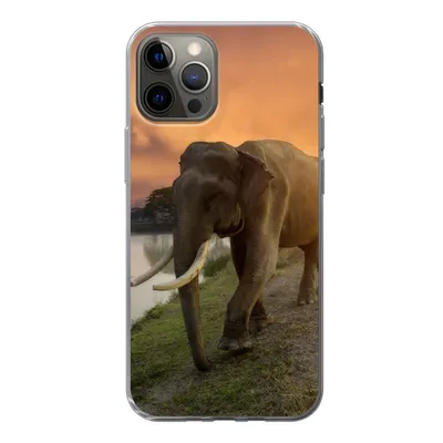 Produktbild von MuchoWow® Handyhülle Schutzhülle Hülle für iPhone 13 Pro Elefant - Wasser - Tiere - Sonnenuntergang - Natur Silikon Softcase Handy Hülle - Handy-Tasche