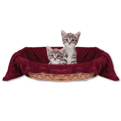 Produktbild von Katzendecke - Tierdecke, Maße: 60x80 cm, Farbe: Kastanienbraun