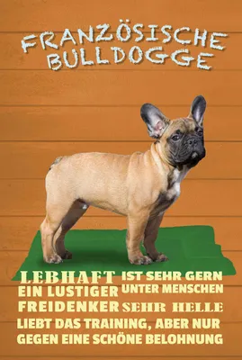 Produktbild von vianmo Holzschild 18x12 cm Französische Bulldogge Hund Tier Haustier