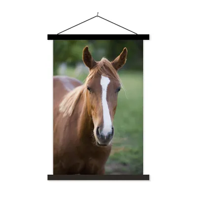 Produktbild von MuchoWow® Textilposter Pferd - Natur - Porträt 120x180 cm mit schwarzem Rahmen - Fotos