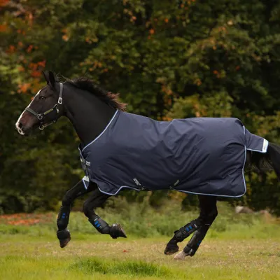 Produktbild von Horseware Amigo Bravo 12 Turnout Medium 250g - Navy/Blue/Strong Blue & Black, 145