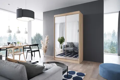 Zdjęcie produktu dla Stylowa szafa przesuwna LOKO3 120cm kolor dąb sonoma - fronty z dużymi lustrami, w komplecie z półkami, drążkiem