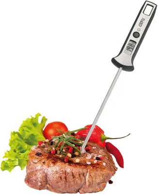 Produktbild von Digital-Thermometer SCALA®