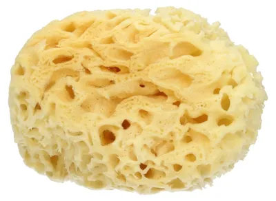 Immagine prodotto di Spugna Mare Naturale Extralarge
