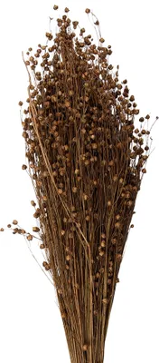 Produktbild von Clayre & Eef Trockenblumen 60 cm Beige Trockenblumen
