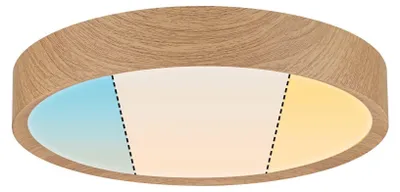 Zdjęcie produktu dla LED Lampa sufitowa do łazienki z ochroną IP44
