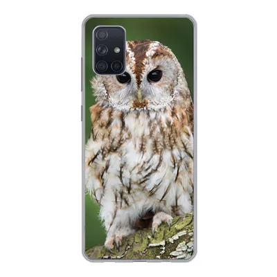 Produktbild von MuchoWow® Handyhülle Schutzhülle Hülle für Samsung Galaxy A71 Braune Eule sitzt auf einem Baum Silikon Softcase Handy Hülle - Kartenbesitzer