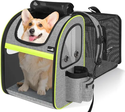 Produktbild von Famanu Haustier-Rucksack Erweiterbar - Tragetasche für Katzen und kleine Hunde mit Sicherheitsriemen - Schwarz