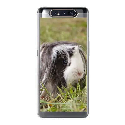 Produktbild von MuchoWow® Handyhülle Schutzhülle Hülle für Samsung Galaxy A80 Langhaar-Meerschweinchen Silikon Softcase Handy Hülle - Schutzdeckel