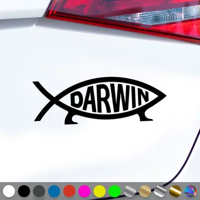 Produktbild von PantherPixel Darwin Fisch Aufkleber Evolution Ichthys Atheist Sticker Auto Geschenkidee Farbe Schwarz