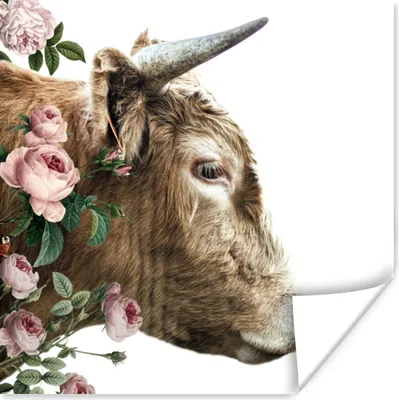 Produktbild von MuchoWow® Poster Schottisches Hochlandrind - Schottische Kuh - Blumen 50x50 cm - Wohnzimmerdekoration