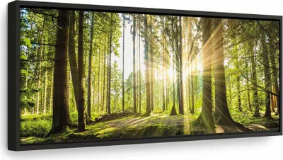 Produktbild von Italienischer Leinwand Leinwandbild - Daylight 90x30 cm Landschaften c-B-0077-b-b