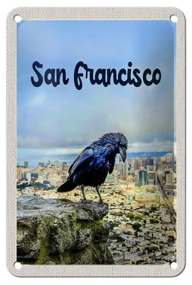 Produktbild von Blechschild Reise 12x18cm San Francisco Aussicht auf Stadt Rabe Schild