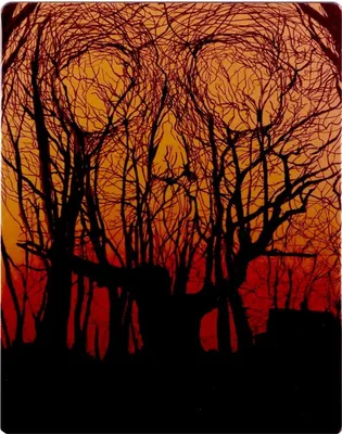 Produktbild von Freitag der 13 - Mondo Steelbook (Blu Ray) [Blu-ray] (Import)