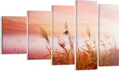 Produktbild von Bild auf Leinwand - Leinwandbild - Wiese Getreide Natur - 100x60cm - Wand Bild - Wanddeko - Leinwanddruck - Bilder - Kunstdruck - Wanddekoration - Leinwand bilder - Wandkunst - EG100x60-3530